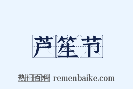 芦笙节是什么意思的图片